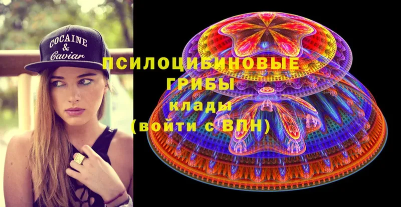 Галлюциногенные грибы Cubensis  Абаза 